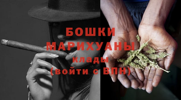 сатива Арсеньев