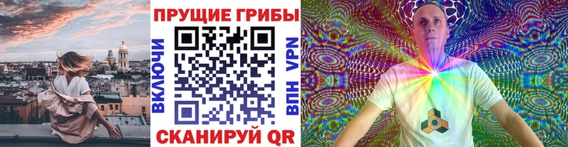 Купить где Волжск Псилоцибиновые грибы прущие грибы