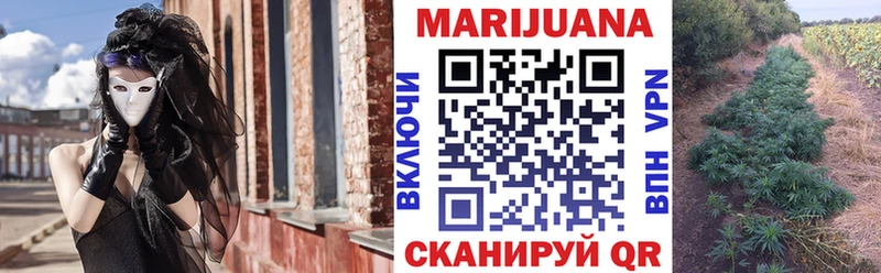 Шишки марихуана семена  Купить где  Волжск 